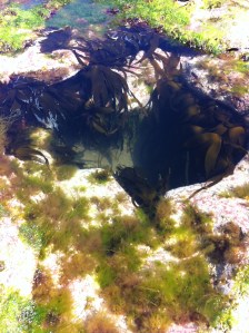 Deep rock pool