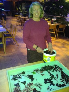 Preparing seaweed specimens