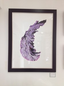 Purple Porphyra print